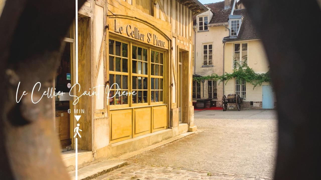 Villa Le Cordelier - Jardin En Plein Centre - Quais De Seine Troyes Exterior foto